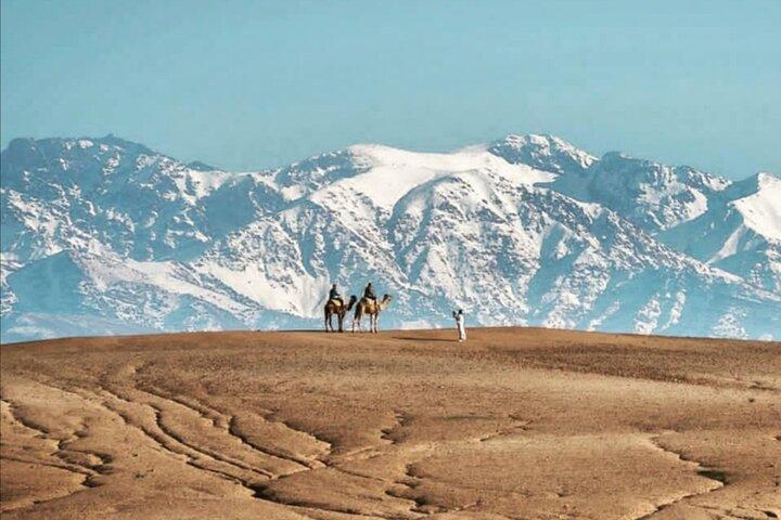 Lunch and Camels Trek in Desert Agafay Day Trip from Marrakech