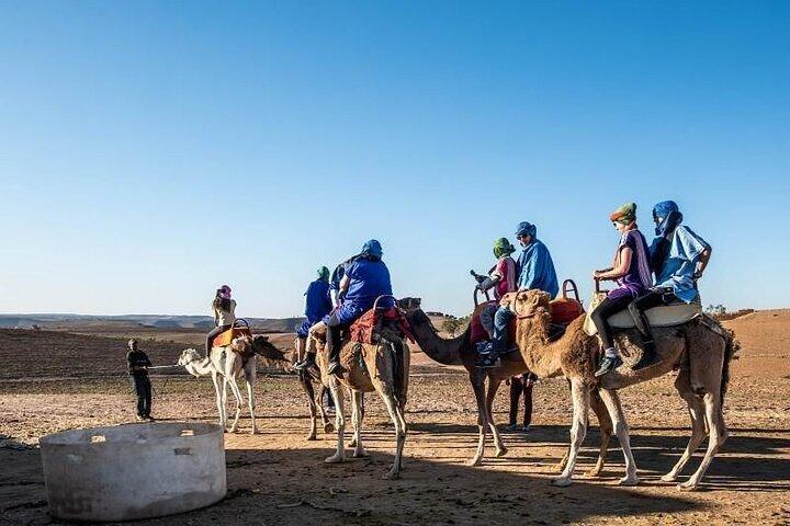 Lunch and Camels Trek in Desert Agafay Day Trip from Marrakech