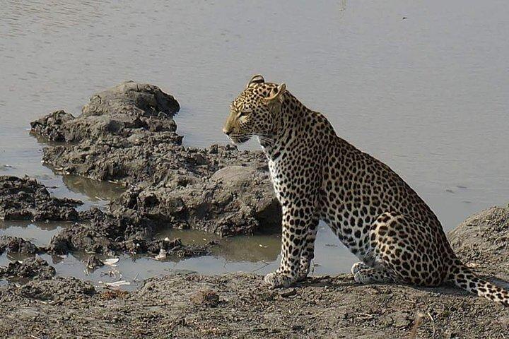 3 Days 2 Nights Mikumi National Park from Dar es salaam road trip
