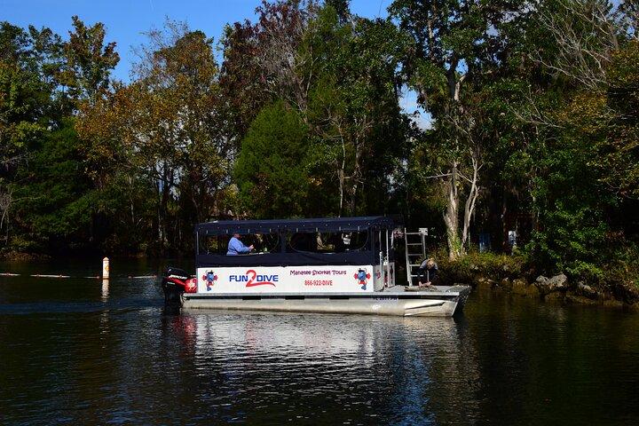 Manatee Snorkel Small Group Tour