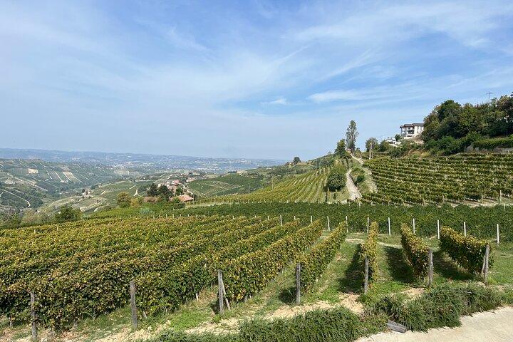 Private Barolo Wine Tour with Winemaker from Turin