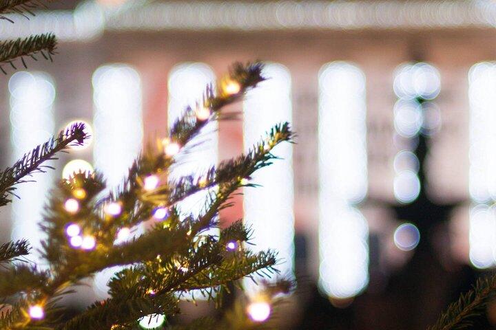 Lisbon by Night: Christmas Lights Photo Walk With a Local