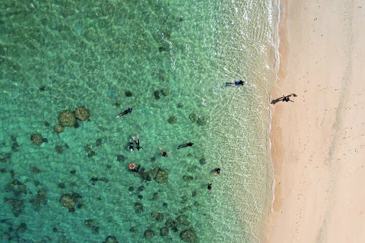 All Inclusive Day Tour to Frankland Islands Great Barrier Reef