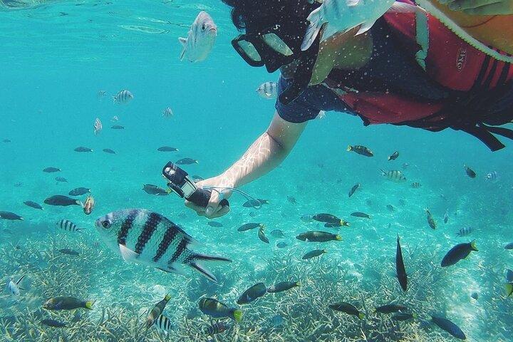 3 Days Tioman Island Package from Singapore (Private tour)