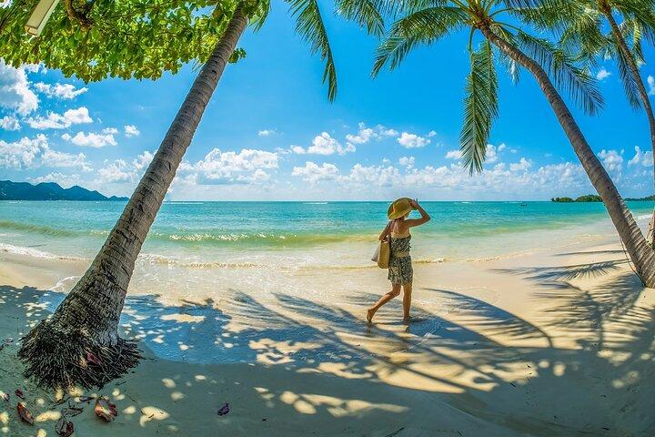 Island Tour around Koh Samui Half Day Sightseeing Excursion