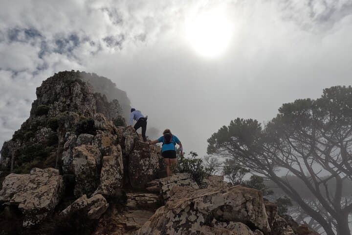 Incredible Table Mountain Guided Day Hike or Trail Run