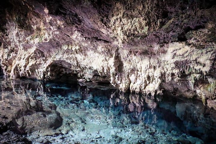 Jozani Forest Kuza Cave The Rock Restaurant and Paje Beach
