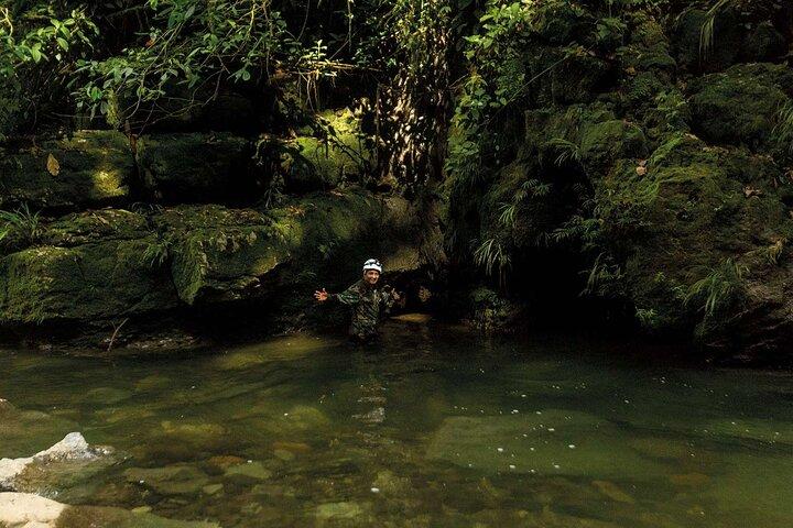 Private Tour in the Amazon Jungle with a visit to Caverns and Lunch
