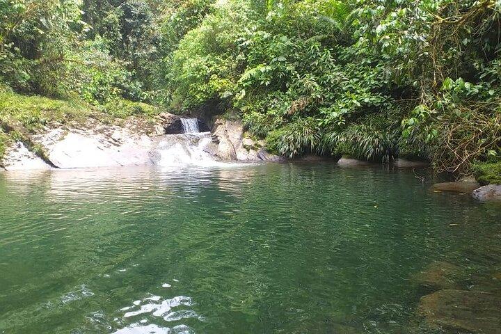 Private Tour in the Amazon Jungle with a visit to Caverns and Lunch