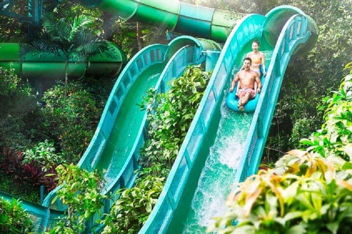 Singapore: Adventure Cove Waterpark Ticket & Transfer