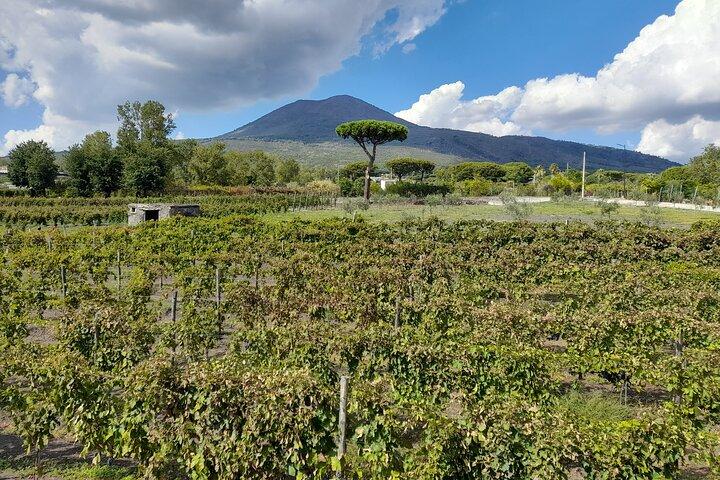 Skip-The-Line Tickets VIP Small Group Tour To Pompei and Vesuvius