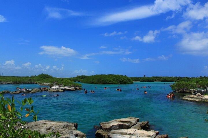 Mayan Adventure Experience in Caleta & Cenote from Riviera Maya