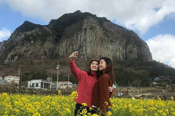 Private Day Tour in South and West in Jeju Island