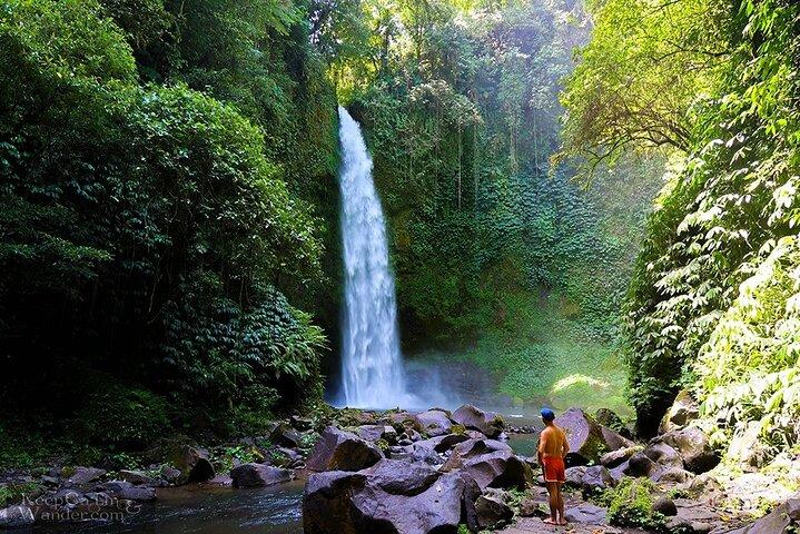 Bali Highlights Customizable Private Day Tour