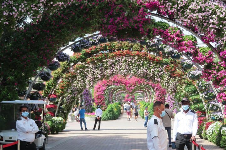 Dubai Miracle Garden Entry Ticket