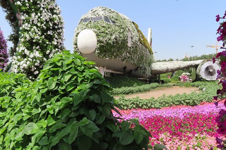 Dubai Miracle Garden Entry Ticket