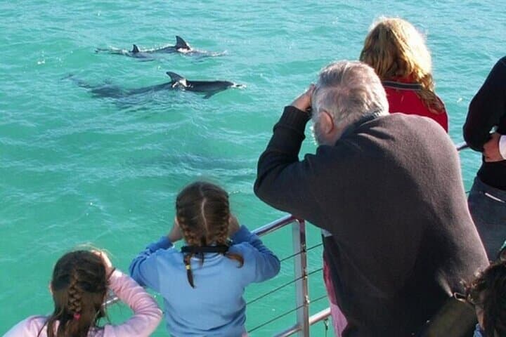Jervis Bay Tour with Dolphins, Kangaroos & World's Whitest Beach