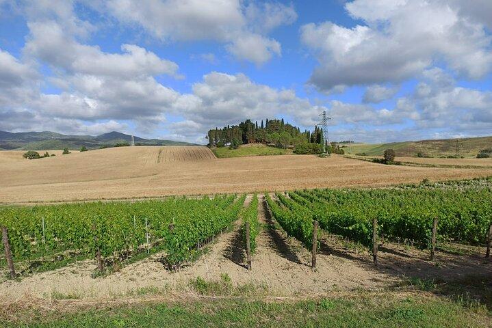 HALF-DAY: Chianti Classic Tour with Wine Experience & visit of San Gimignano