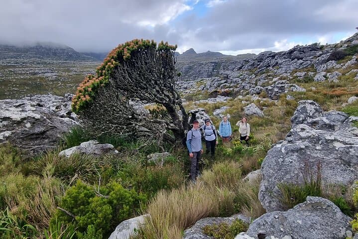 BEST of Table Mountain! Exhilarating Full-day Guided Hike