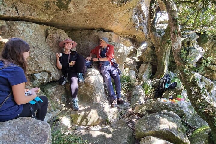 BEST of Table Mountain! Exhilarating Full-day Guided Hike