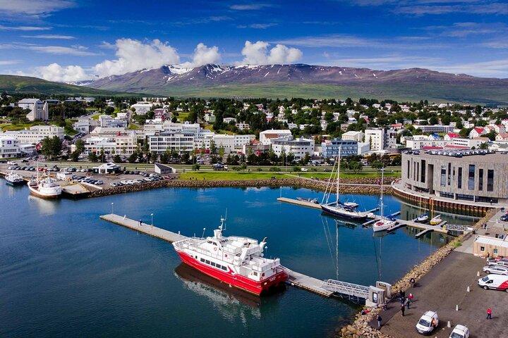Goðafoss Waterfall & Forest Lagoon from Akureyri Port