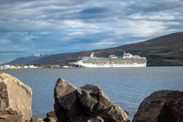 Goðafoss Waterfall & Forest Lagoon from Akureyri Port