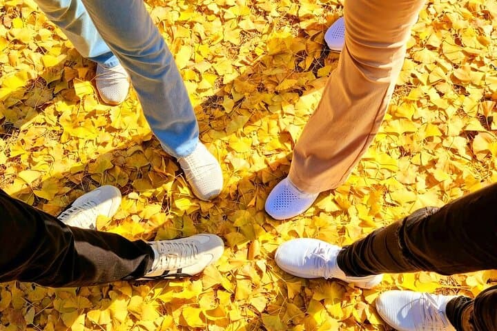 Korea's Best Nami Island & Garden of Morning Calm Trip from Seoul