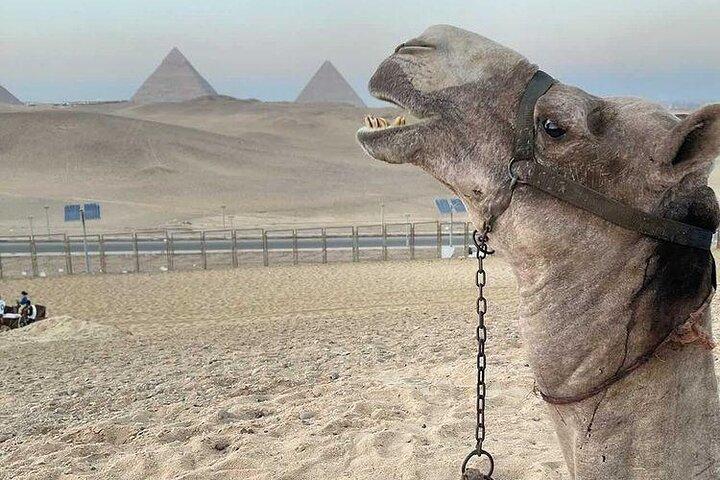 Giza Pyramids & GEM Museum