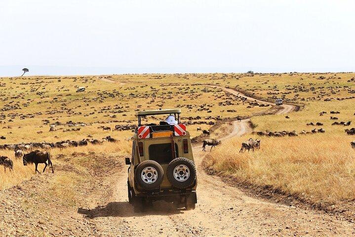4 Day Mid-range Safari Serengeti ,Ngorongoro and Tarangire