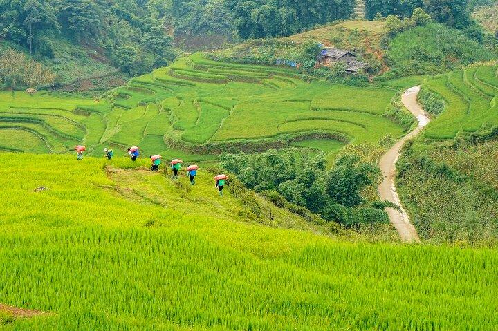 Sapa Trekking 3 Days 2 Nights (Homestay) - Departure From Hanoi