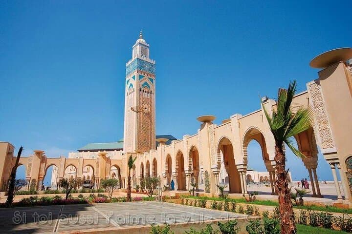 Casablanca luxury day tour