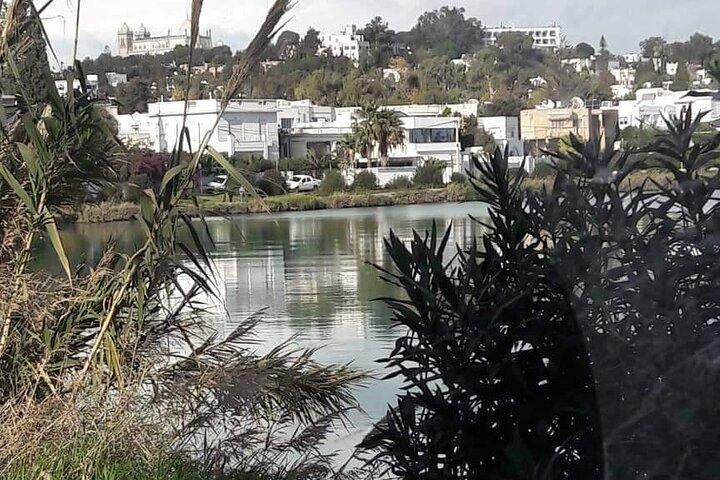 Private Guided Excursion Tunis, Carthage and Sidi Bou Said from Tunis