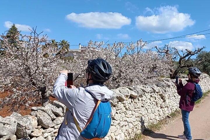 Discovery Villages Puglia With Ebike