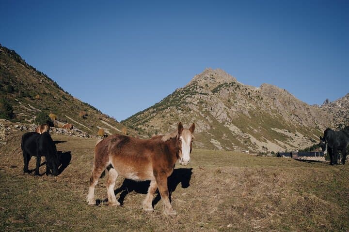 Andorra Small Group Tour From Barcelona