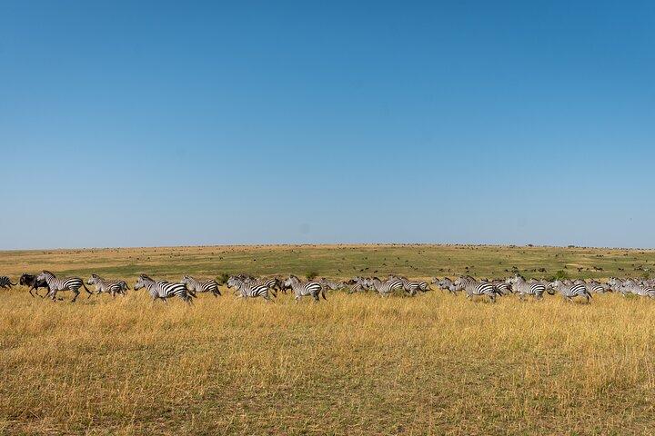 6 Days Private Safari Tour
