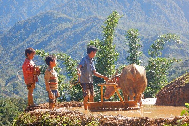 2D1N Buffalo trek by Hmong Sister House and Trekking