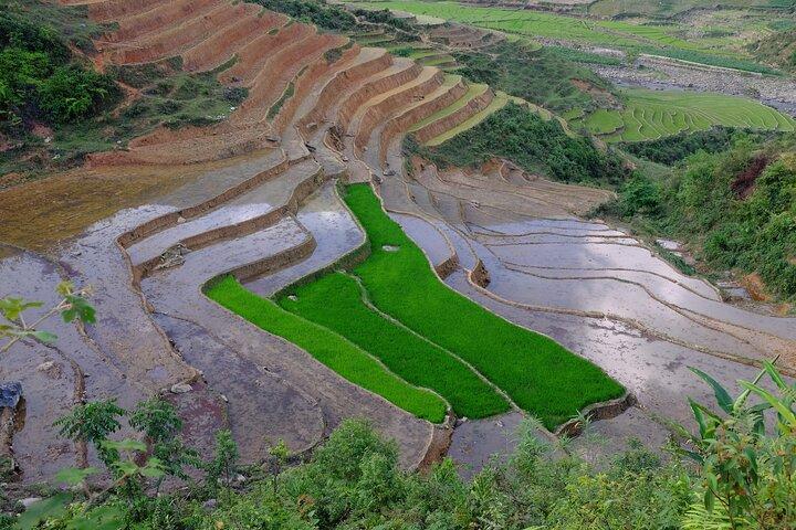 2D1N Buffalo trek by Hmong Sister House and Trekking