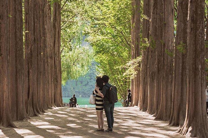 Private Van Nami Island, Petite France, Rail Bike (Up to 14 pax)