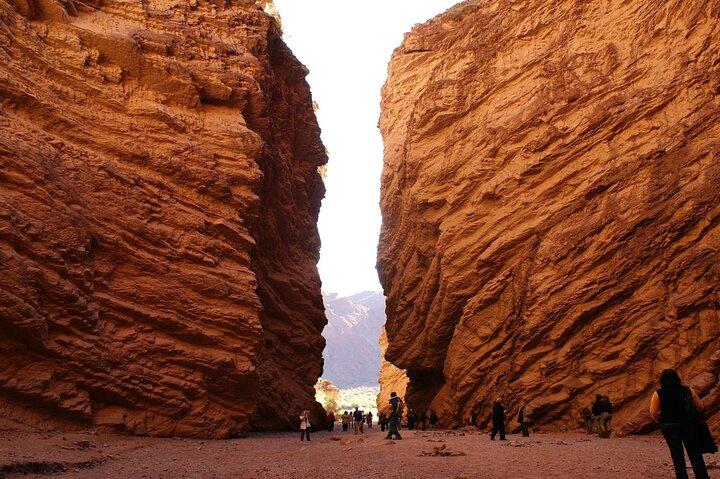 Cafayate, Vineyards and Calchaquies Valleys Tour from Salta