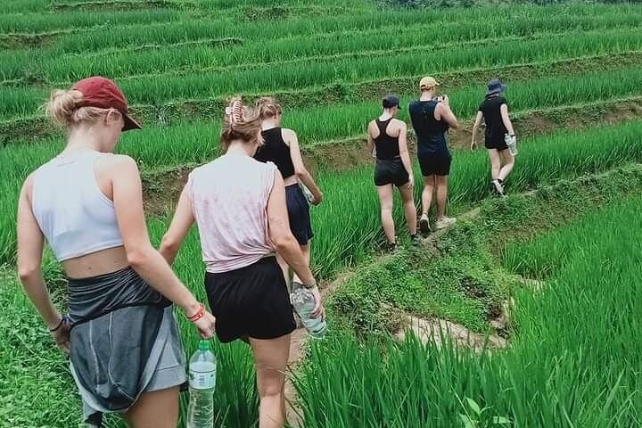 Half-Day Hometrek from Sapa with Hmong Sister House