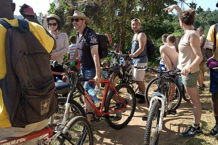 Half-Day Scenic Bike Tour