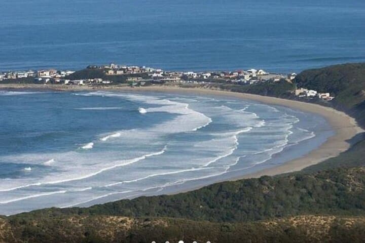 4 Day Small Group Garden Route Tour in Cape Town