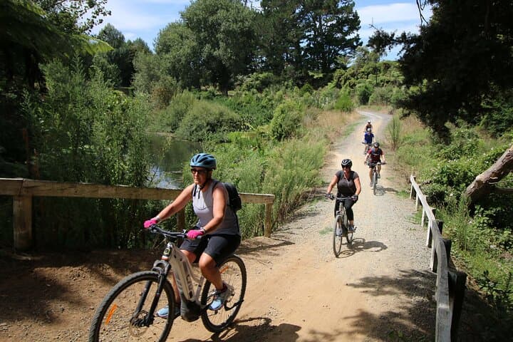 Full Day Ebike Tour in Karangahake Gorge (ex Auckland)