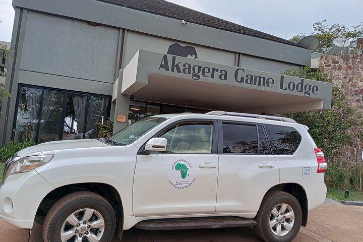 Full-Day Private Safari of Akagera National Park with Lunch