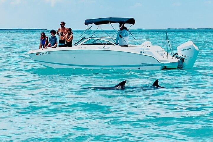 Key West Dolphin & Snorkeling Tour - Small Group