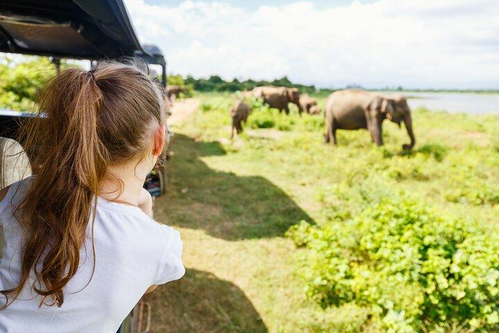 Udawalawe National park tour from Ella with jeep safari