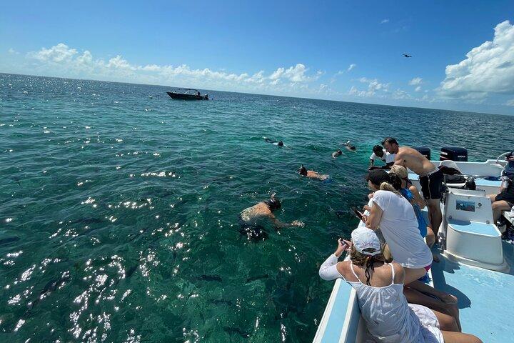 Turtle Garden Snorkeling Tour and Island Break