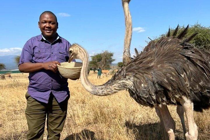 4 Days Tanzania Safari Tarangire, Serengeti and Ngorongoro Crater
