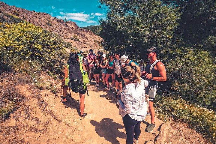 The Volcano Heart Tour: Hiking, Tasting and Sunset Experience