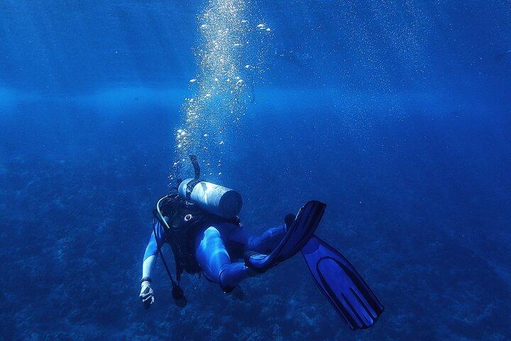 Discover Scuba Diving in Roatan at Upachaya with Private Transfer